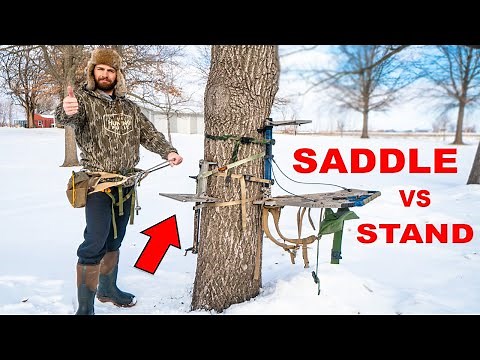 SADDLE vs STAND?? - WHICH one is RIGHT FOR YOU?