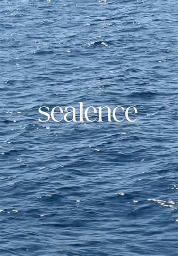 sealence__ on TikTok