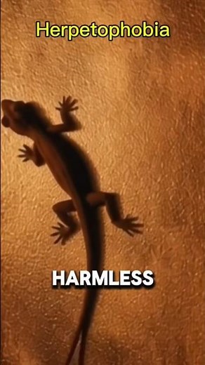 Herpetophobia 😱 || fear of lizards 🦎 #psychologicalfacts #psycholgyfacts #herpetophobia #horror