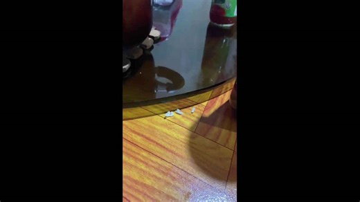 Sneaky lizard grabs rice from dinner table in Manila, Philippines