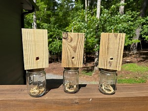 Handmade Wood Carpenter Bee Trap – Mason Jar, Outdoor Pest Control - Etsy UK