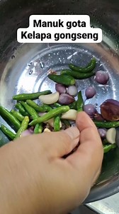 277K views · 2.3K reactions | Manuk Gota Kelapa Gongseng Menu paling mantul dari daerah saya dan rasanya enak gurih dan simriwing karena andalimannya #manuk_gota #khas_batak #andaliman | Mida Naibaho | Facebook