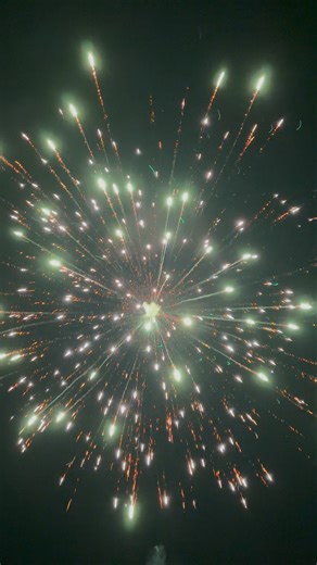 Excalibur 4 inch canister shell💥