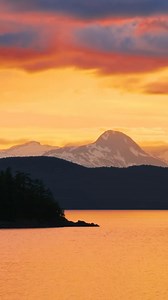 7.3K views · 112 reactions | Holland America Line on Reels | Facebook