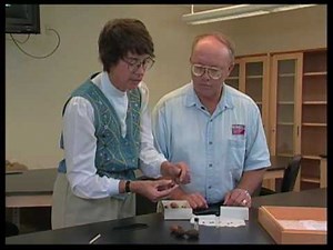 How To Identify Pecan Weevil Problems