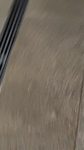 THE FROG MASCOT IS IN SINGAPORE !!! 🐸 | Singapore Stuff