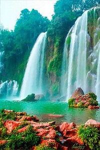 9.4K views · 639 reactions | ✨MORNING GLORY✨...