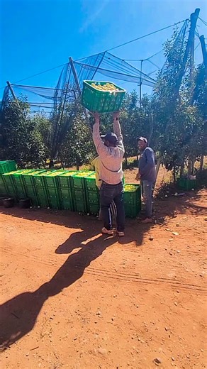 Àɓđ Ę AŁī on Reels