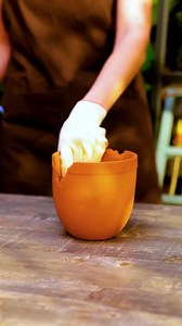 Cultivando e cuidando de plantas em casa | Ideias Incríveis