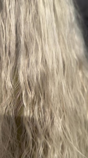 Beach wave perm by the queen herself 🩷 Suzanne | SPLIT ENDZ SALON