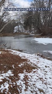 10K views · 443 reactions | Sharing Allaire in the Winter! ❤️ | The Historic Village at Allaire | Facebook