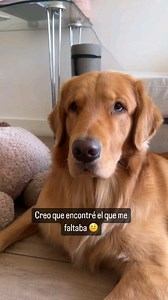 Marcia Belato on Reels