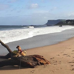 BLACK FRIDAY IS HERE ⬛️ fancy a deal? ⭐️ Save up to £50 on rooms, enjoy complimentary freebies, family perks, doggy friendly deals and more! HUGE SAVINGS & PERKS FOR YOU See all deals  marinehotelballycastle.com/blackfriday Our reservation lines are open, please call 02820762222 and quote Black Friday  | Marine Hotel Ballycastle | Facebook