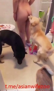 Tube xxx zoo de la maîtresse nue qui invite ses deux chiens mâles sous la douche
