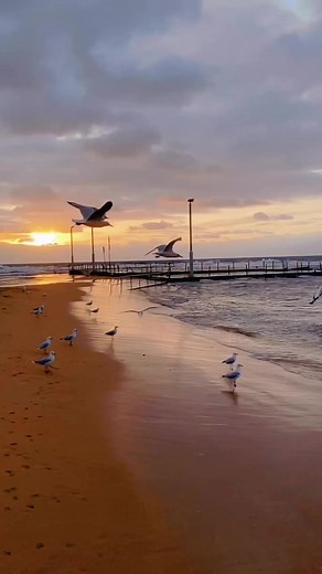 Ulises Molina Cavazos on Reels