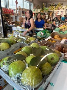 Hello 👋 $19.99 rai rai cho ngày thứ 2 thì cung OK moi người nhĩ hihihihQuán Trái Cây TươiBellaire Fresh Fruits and SnacksVườn Trái Cây Houston Inc.Tom’s Nursery Houston Inc | Vườn Trái Cây Houston Inc.