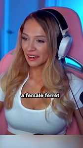 FEMALE FERRET | Bebahan- Official