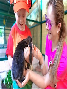 202K views · 2.2K reactions | Barbie Police Chase Adventure #34636 | Diana love Roma TV | Facebook