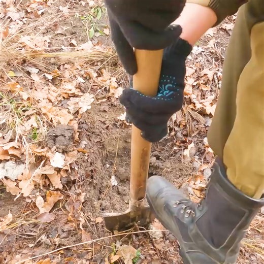 Building of a warm and secret dugout in the wild forest, forest shelter.#bushcraft #adventure #outdoors #survival #camping #cabinlife #cabincrew #wilderness #logcabin | Mountain Cabins