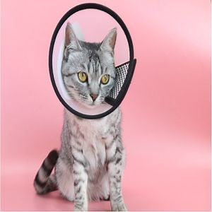[Hot Item] Pet Recovery Collar Pet Protective Collars Anti Bite Collar for Dog Cat Pet Protection