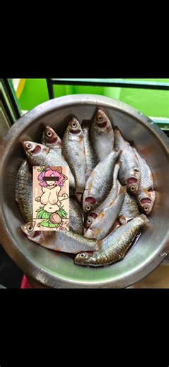 You put on your skates once… and now you're completely obsessed 🛼💫✨ There's just something magical about gliding around with Hello Kitty vibes 🎀🐱 and feeling cute, confident, and carefree. TikTok really said do it 📲🔥 and here we are — skating every chance we get. Whether it’s outside in the sun or vibing indoors with music on full blast, skating has become a whole lifestyle! It’s not just a trend, it’s a mood, a vibe, and a form of self-expression 💕🌈 Who else fell in love with the wheels