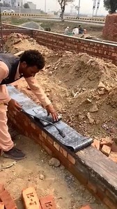 Why do you put carpet on the walls #shorts #shortsvideos | সুপ্ত জ্ঞান