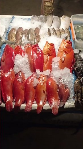 This is Mirissa night life 🧬🧬