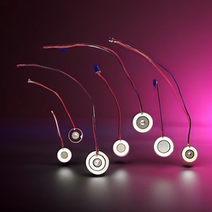 [Hot Item] Piezo Ultrasonic Atomizer Ultrasonic Atomizing Transducer with 1.7MHz, 2.4MHz by Size 16mm, 20mm, 25mm Whtf113-20.0d-2