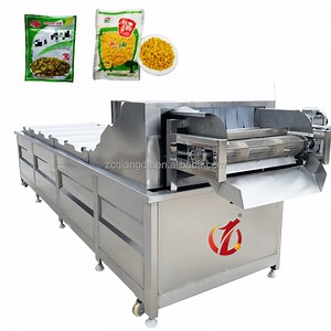 [Hot Item] Factory Customization Tunnel Pasteurization Machine Line Product Small Batch Pasteurizer