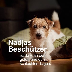 Nadjas Beschützer ist ihr bester Gefährte an guten und schlechten Tagen – und er wird es auch an ihrem letzten Tag sein. Hilf uns, zu ermöglichen, was Viele sich zuletzt wünschen: Abschied nehmen im vertrauten, eigenen Zuhause. https://www.caritas-wien.at/hilfe-angebote/hospiz/ | Caritas: Wir helfen.