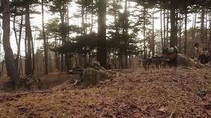 3rd Marine Division on Reels