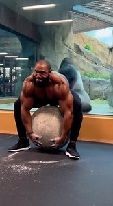 484K views · 301 reactions | Gorilla said let me show you how to do it | Chris And Jasmin | Facebook