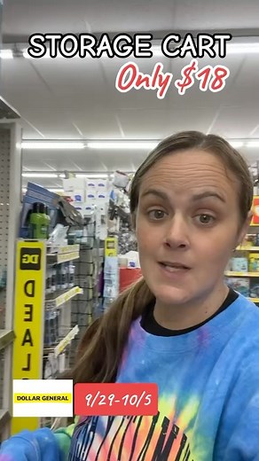 4.5K views · 27 reactions | Listen up! There are some storage carts at thr dollar general for only $18 ❤️ Hope you score! ✌ #clearance #clearanceevent #clearancefinds #craftcart #craftstorage #storage #storagecart #couponing #liztheclearancequeen #hopeyouscore✌ #clearanceshopping #dollargeneralclearance #dollargeneralclearanceevent #dollargeneral #greenscreen | Liz the Clearance Queen | Facebook