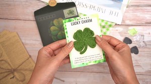 St patricks day gifts - St Patricks Day Accessories, Irish Gifts with Card and Envelope – St Patrick’s Day Gift for Kids and Adults, Classroom and Coworker Exchange, Fun Leprechaun Card