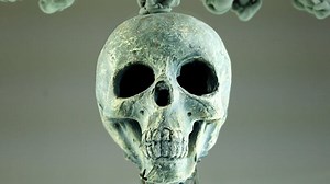 Macro, Colores, Resumen