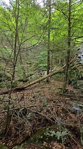 Mount Everett State Forest Lower Race Brook Falls, a 1.5 total in and...