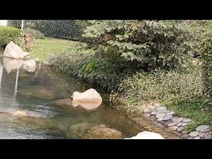 Sweet Gardening by Canal Water 🌊 | Peaceful Nature & Relaxing View