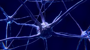Un nou studiu sugerează că oamenii pot simți câmpul magnetic al Pământului