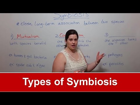 Types of Symbiosis (Mutualism, Commensalism, Parasitism)
