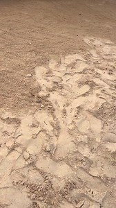 2.9K views · 28 reactions | Kaskas dri sa lapyahan | NelsVlog | Facebook