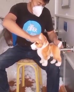 How stuffed animals are made. | Os Tifóides