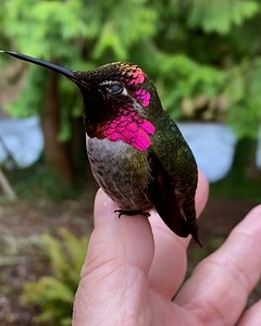 634K views · 62K reactions | Nature is truly beautiful | MetDaan Discovery | Facebook