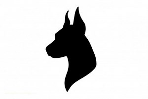 Double Bubble Booty Threesome - DoggVision Official Profile | LoyalFans