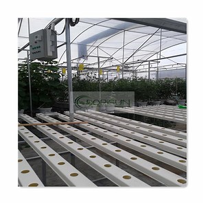 [Hot Item] Deep Water Culture Tomato Home Dwc Large Commercial Transparent Automated Multi Layer Nft Hydroponics System