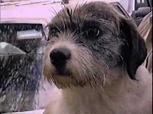 WCBS 1993 48 Hours Commercial