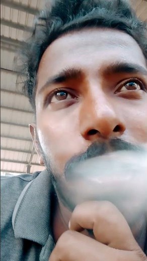 Deadpool And Wolverine 2 🦁🐯