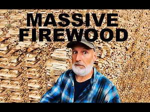 MASSIVE FIREWOOD STACKING!