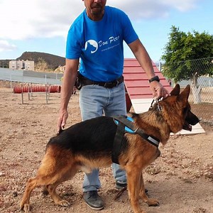 Tenerife Surprise recomienda Don Perro,Tienda ,Peluquería y Clínica Veterinaria! Descubrelo ahora en nuestra GUIA DE TENERIFE aqui https://tenerifesurprise.es/guia-de-tenerife-en-linea/listings/mascotas/don-perro/ #tenerifesurprise #guiadetenerifeenlinea | Isole Canarie - Toda Canarias | Facebook