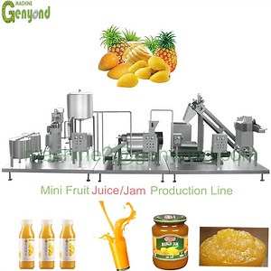 [Hot Item] Mango Juice Production Line Mango Pulp Processing Machine