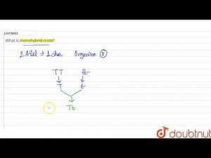 What is monohybrid cross?